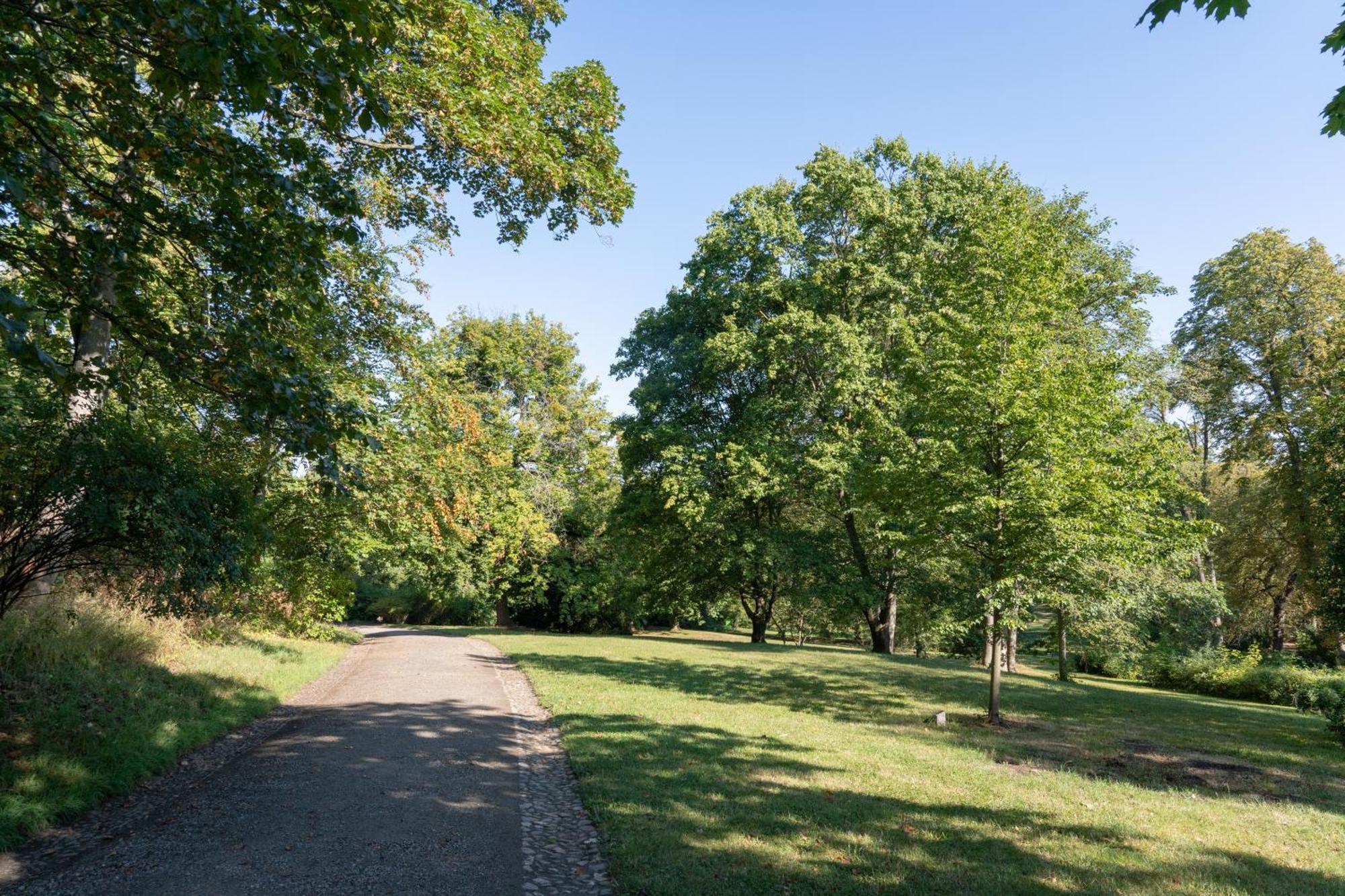 Bernstein Schlosshotel Ballenstedt Bagian luar foto